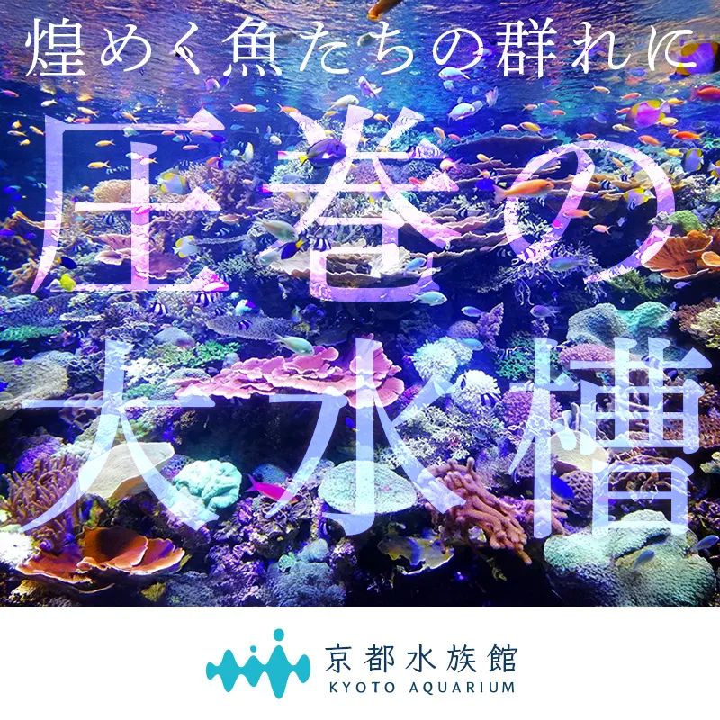 京都水族館